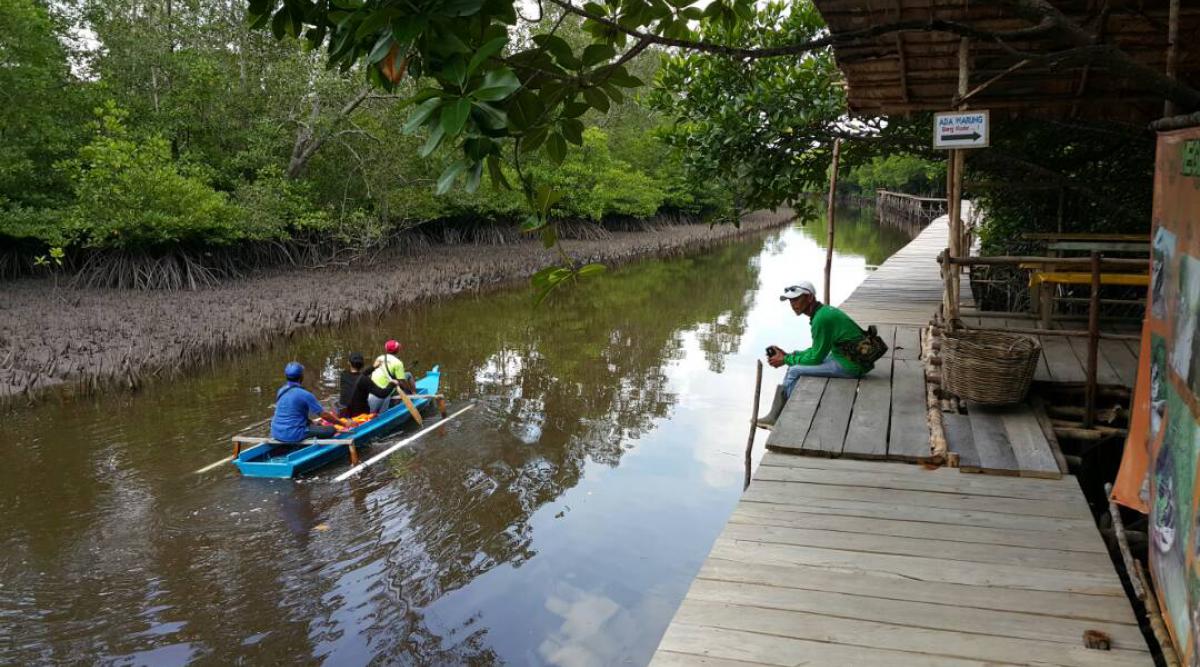 belitung destination Mangrove Kuale